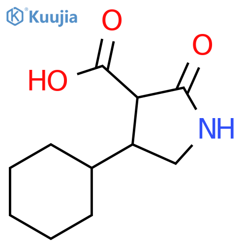 4-Cyclohexyl-2-oxopyrrolidine-3-carboxylic acid structure
