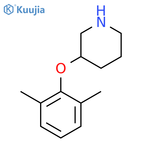 3-(2,6-dimethylphenoxy)piperidine structure