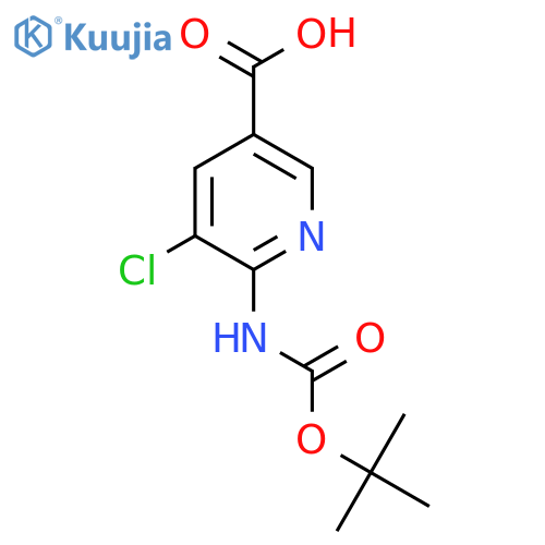 6-{[(Tert-butoxy)carbonyl]amino}-5-chloropyridine-3-carboxylic acid structure
