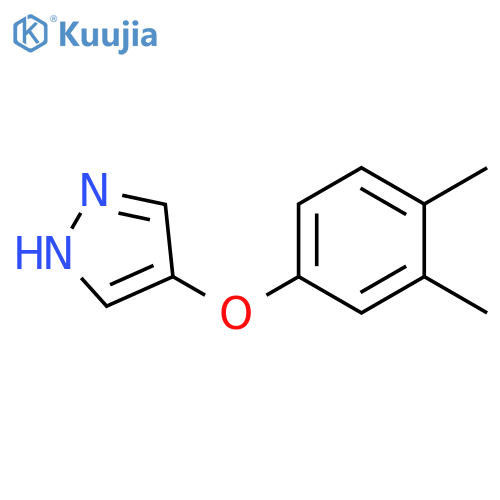 4-(3,4-Dimethyl-phenoxy)-1H-pyrazole structure