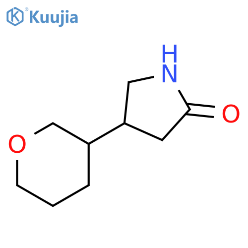 4-(oxan-3-yl)pyrrolidin-2-one structure