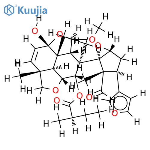 walsogyne C structure