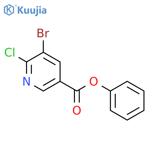 3-Pyridinecarboxylic acid, 5-bromo-6-chloro-, phenyl ester structure