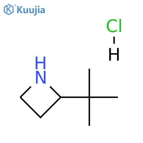 2-tert-butylazetidine hydrochloride structure