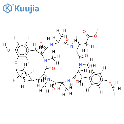 RA-XI structure
