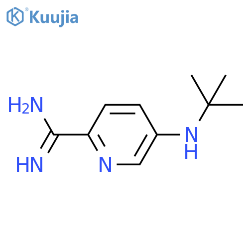 5-(tert-butylamino)pyridine-2-carboximidamide structure