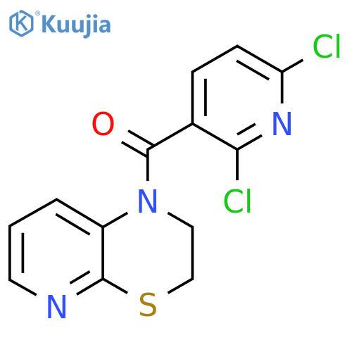 2,6-dichloro-3-{1H,2H,3H-pyrido2,3-b1,4thiazine-1-carbonyl}pyridine structure