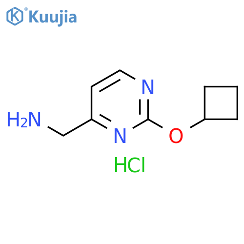 (2-Cyclobutoxypyrimidin-4-yl)methanaminehydrochloride structure