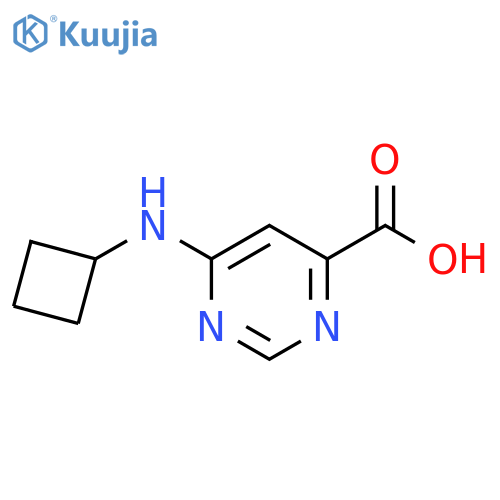 6-(Cyclobutylamino)pyrimidine-4-carboxylic acid structure