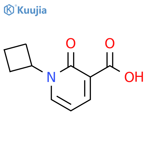 1-CYCLOBUTYL-2-OXO-1,2-DIHYDROPYRIDINE-3-CARBOXYLIC ACID structure