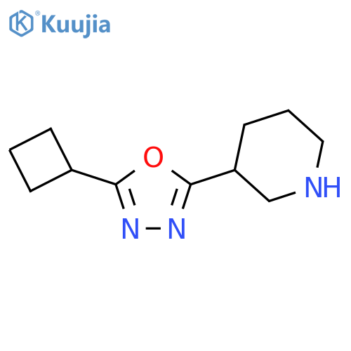 3-(5-Cyclobutyl-1,3,4-oxadiazol-2-yl)piperidine structure