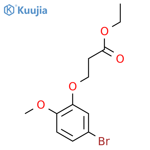 Ethyl 3-(5-bromo-2-methoxyphenoxy)propanoate structure