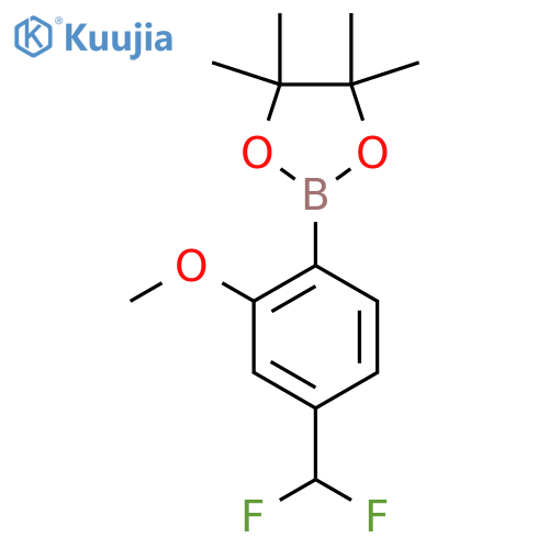 2-4-(difluoromethyl)-2-methoxyphenyl-4,4,5,5-tetramethyl-1,3,2-dioxaborolane structure