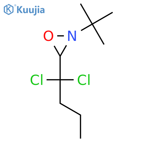 2-(t-Butyl)-3-(1,1-dichlorobutyl)oxaziridine structure