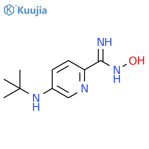 5-(tert-butylamino)-N'-hydroxypyridine-2-carboximidamide structure