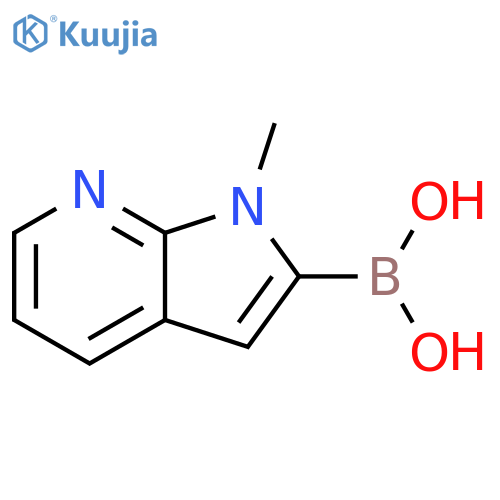 {1-methyl-1H-pyrrolo[2,3-b]pyridin-2-yl}boronic acid structure