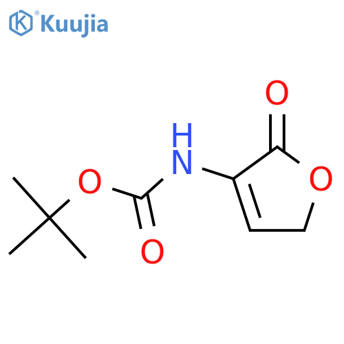 Carbamic acid,(2,5-dihydro-2-oxo-3-furanyl)-, 1,1-dimethylethyl ester (9CI) structure