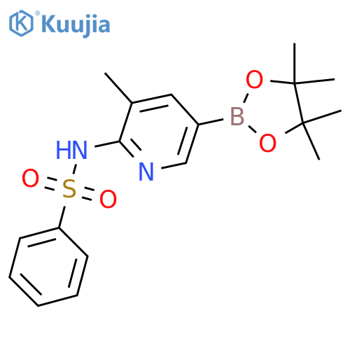 N-(3-Methyl-5-(4,4,5,5-tetraMethyl-1,3,2-dioxaborolan-2-yl)pyridin-2-yl)benzenesulfonaMide structure