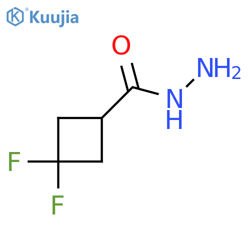 3,3-difluorocyclobutane-1-carbohydrazide structure