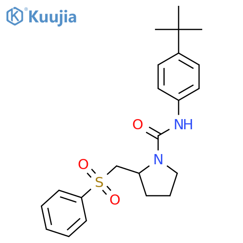 2-(benzenesulfonyl)methyl-N-(4-tert-butylphenyl)pyrrolidine-1-carboxamide structure