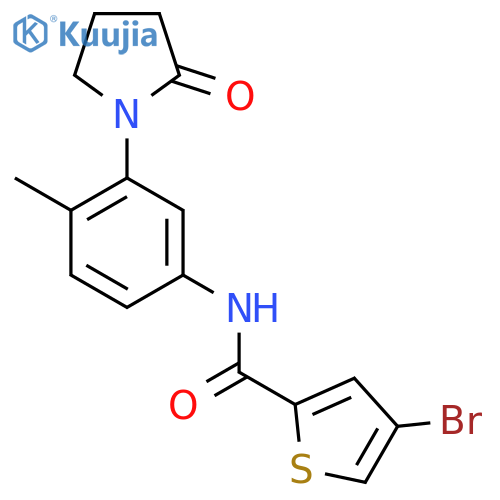 4-bromo-N-4-methyl-3-(2-oxopyrrolidin-1-yl)phenylthiophene-2-carboxamide structure