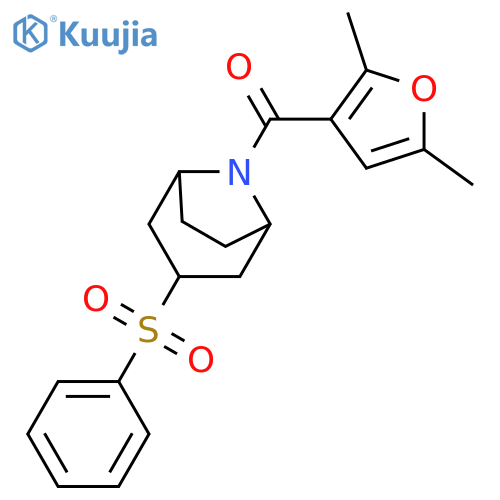 3-(benzenesulfonyl)-8-(2,5-dimethylfuran-3-carbonyl)-8-azabicyclo3.2.1octane structure