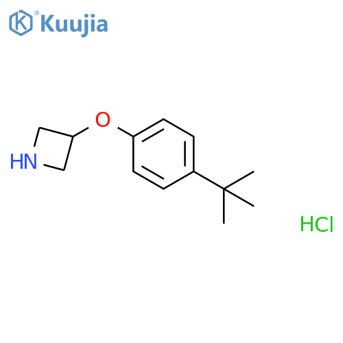 3-4-(tert-Butyl)phenoxyazetidine Hydrochloride structure