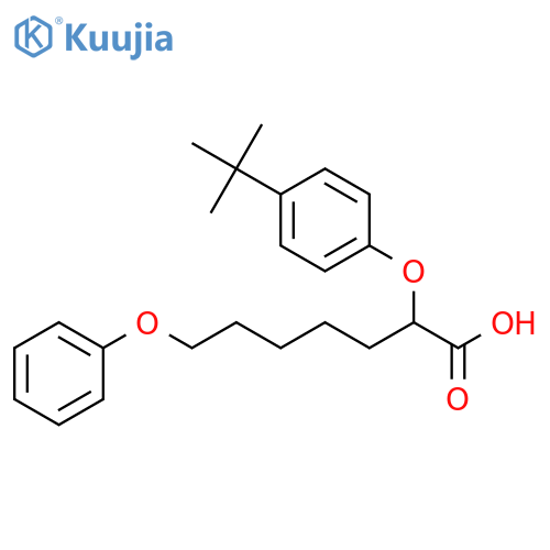 Heptanoic acid, 2-[4-(1,1-dimethylethyl)phenoxy]-7-phenoxy-, (±)- structure