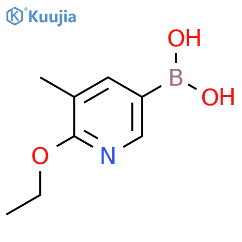 6-ethoxy-5-methylpyridine-3-boronic acid structure