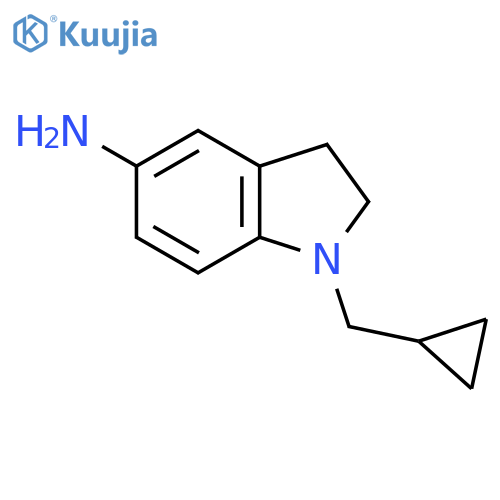 1-Cyclopropylmethyl-2,3-dihydro-1H-indol-5-ylamine structure