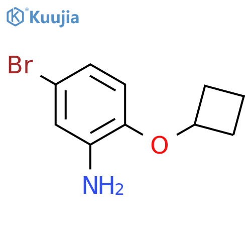 5-Bromo-2-cyclobutoxyaniline structure
