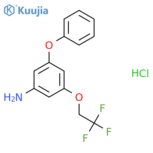 3-Phenoxy-5-(2,2,2-trifluoroethoxy)aniline hydrochloride structure