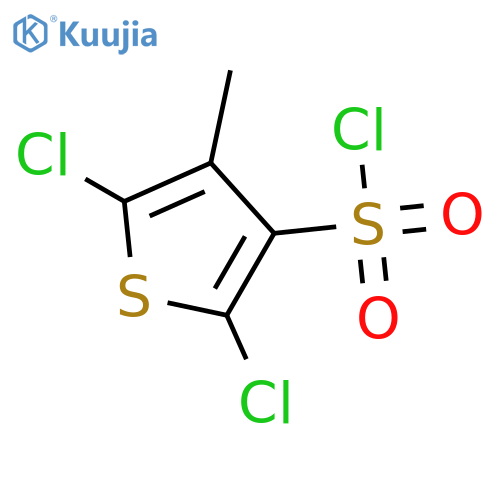 2,5-Dichloro-4-methylthiophene-3-sulfonyl chloride structure