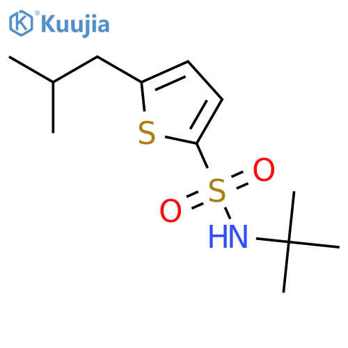 N-(tert-Butyl)-5-isobutylthiophene-2-sulfonamide structure