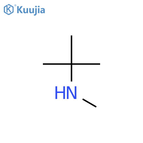 N-Methyl-tert-butylamine structure