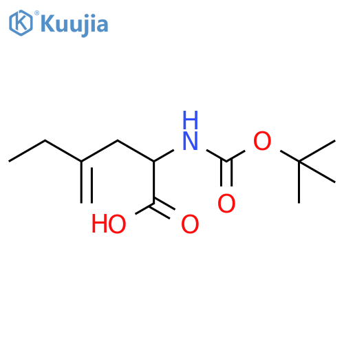 2-{(tert-butoxy)carbonylamino}-4-methylidenehexanoic acid structure