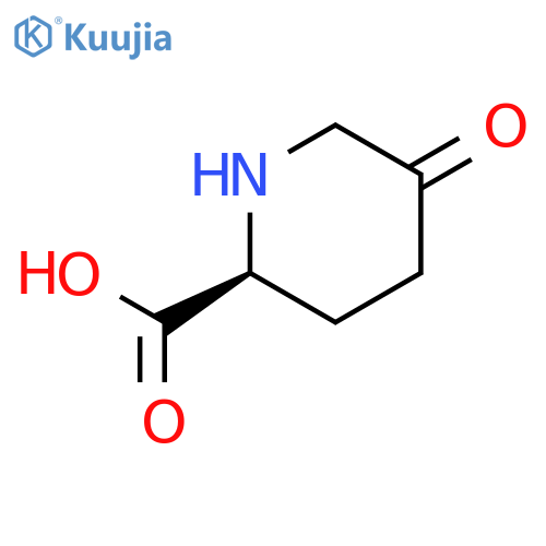(2S)-5-Oxo-piperidine-2-carboxylic acid structure