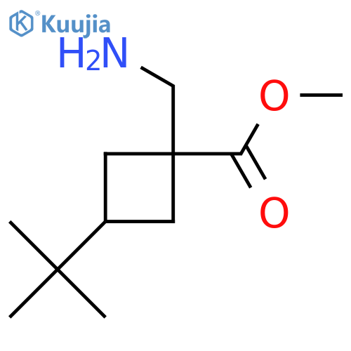methyl 1-(aminomethyl)-3-tert-butylcyclobutane-1-carboxylate structure
