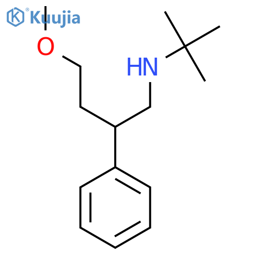Tert-butyl(4-methoxy-2-phenylbutyl)amine structure