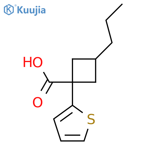 3-propyl-1-(thiophen-2-yl)cyclobutane-1-carboxylic acid structure