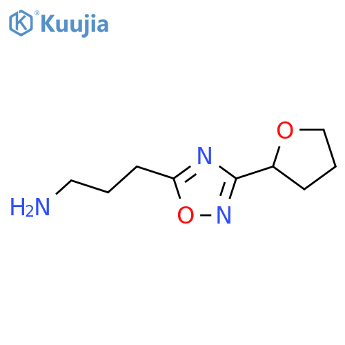 3-[3-(Oxolan-2-yl)-1,2,4-oxadiazol-5-yl]propan-1-amine structure