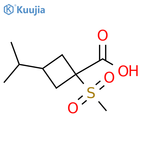 1-methanesulfonyl-3-(propan-2-yl)cyclobutane-1-carboxylic acid structure
