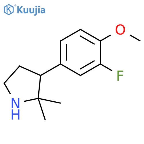 3-(3-fluoro-4-methoxyphenyl)-2,2-dimethylpyrrolidine structure