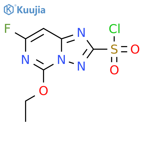[1,2,4]Triazolo[1,5-c]pyrimidine-2-sulfonyl chloride, 5-ethoxy-7-fluoro- structure