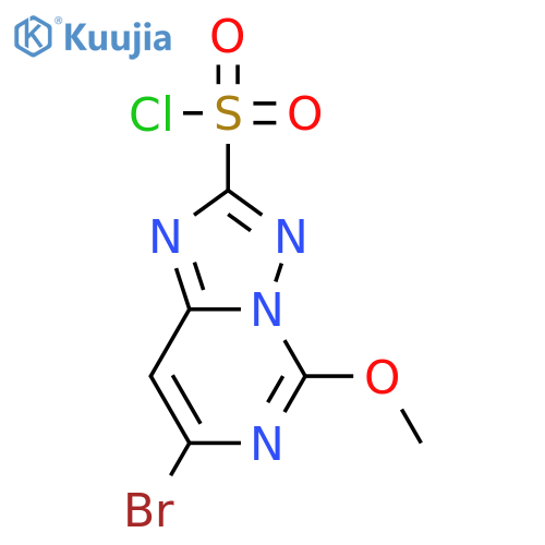 [1,2,4]Triazolo[1,5-c]pyrimidine-2-sulfonyl chloride, 7-bromo-5-methoxy- structure