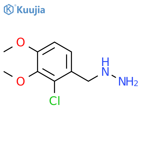 (2-chloro-3,4-dimethoxyphenyl)methylhydrazine structure