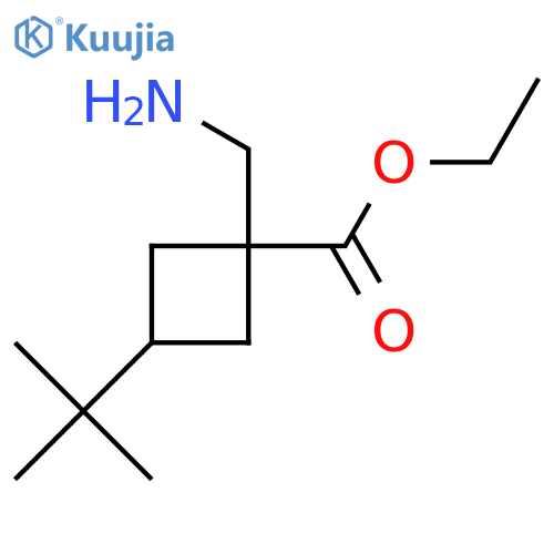 ethyl 1-(aminomethyl)-3-tert-butylcyclobutane-1-carboxylate structure