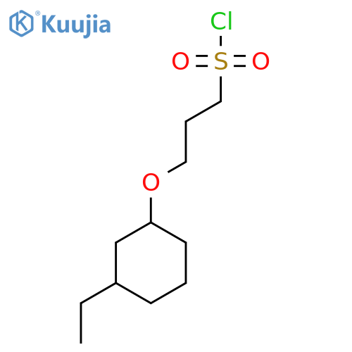 3-(3-ethylcyclohexyl)oxypropane-1-sulfonyl chloride structure