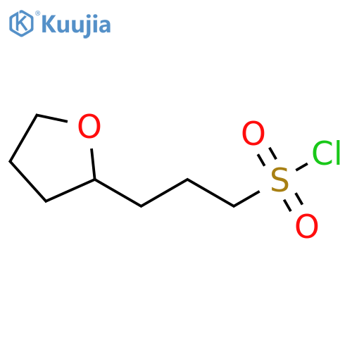 3-(oxolan-2-yl)propane-1-sulfonyl chloride structure