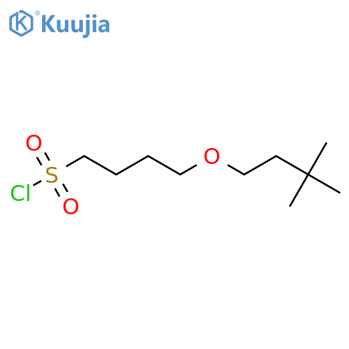 4-(3,3-dimethylbutoxy)butane-1-sulfonyl chloride structure